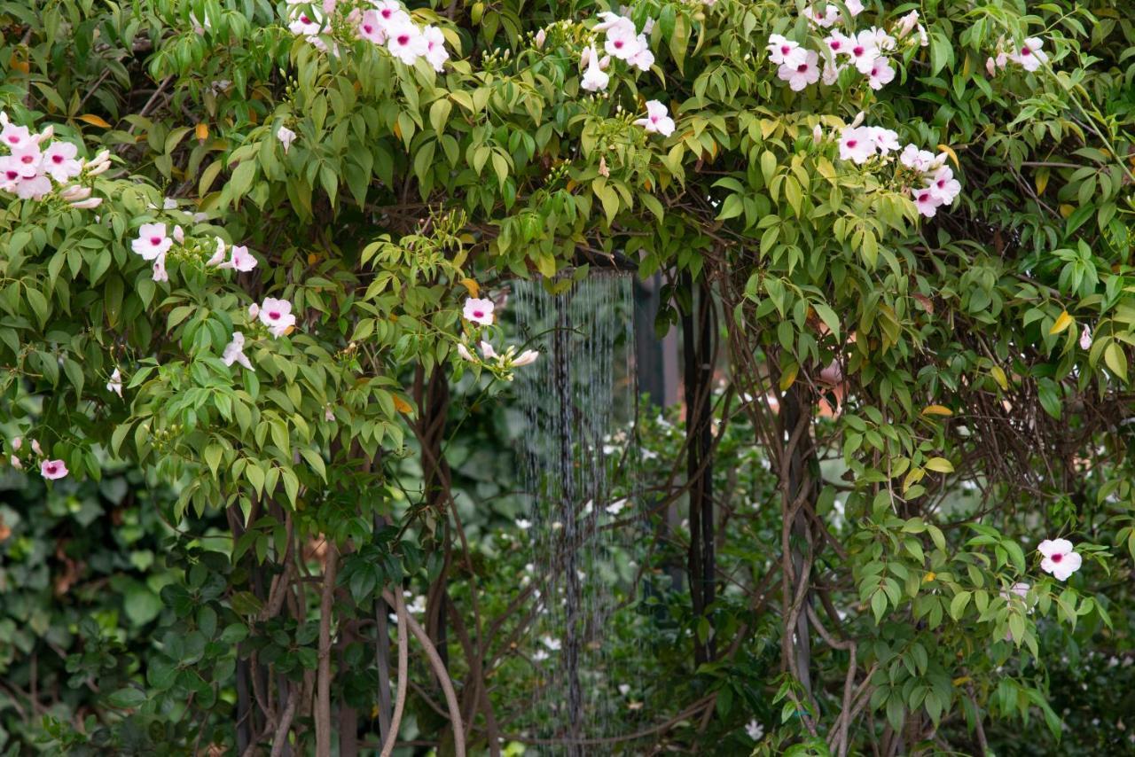 Boutique Villa Etna D'A'Mare トレカスターニ エクステリア 写真
