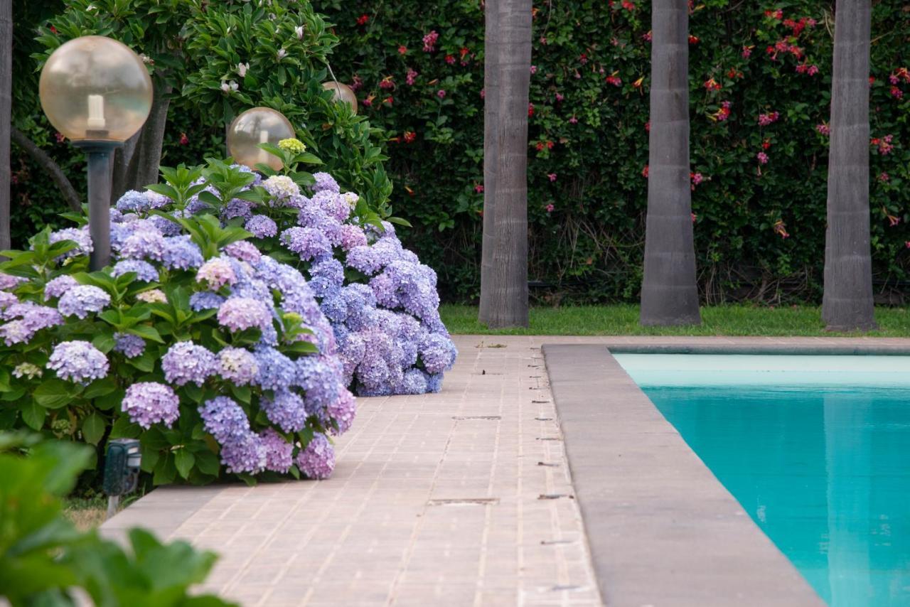 Boutique Villa Etna D'A'Mare トレカスターニ エクステリア 写真